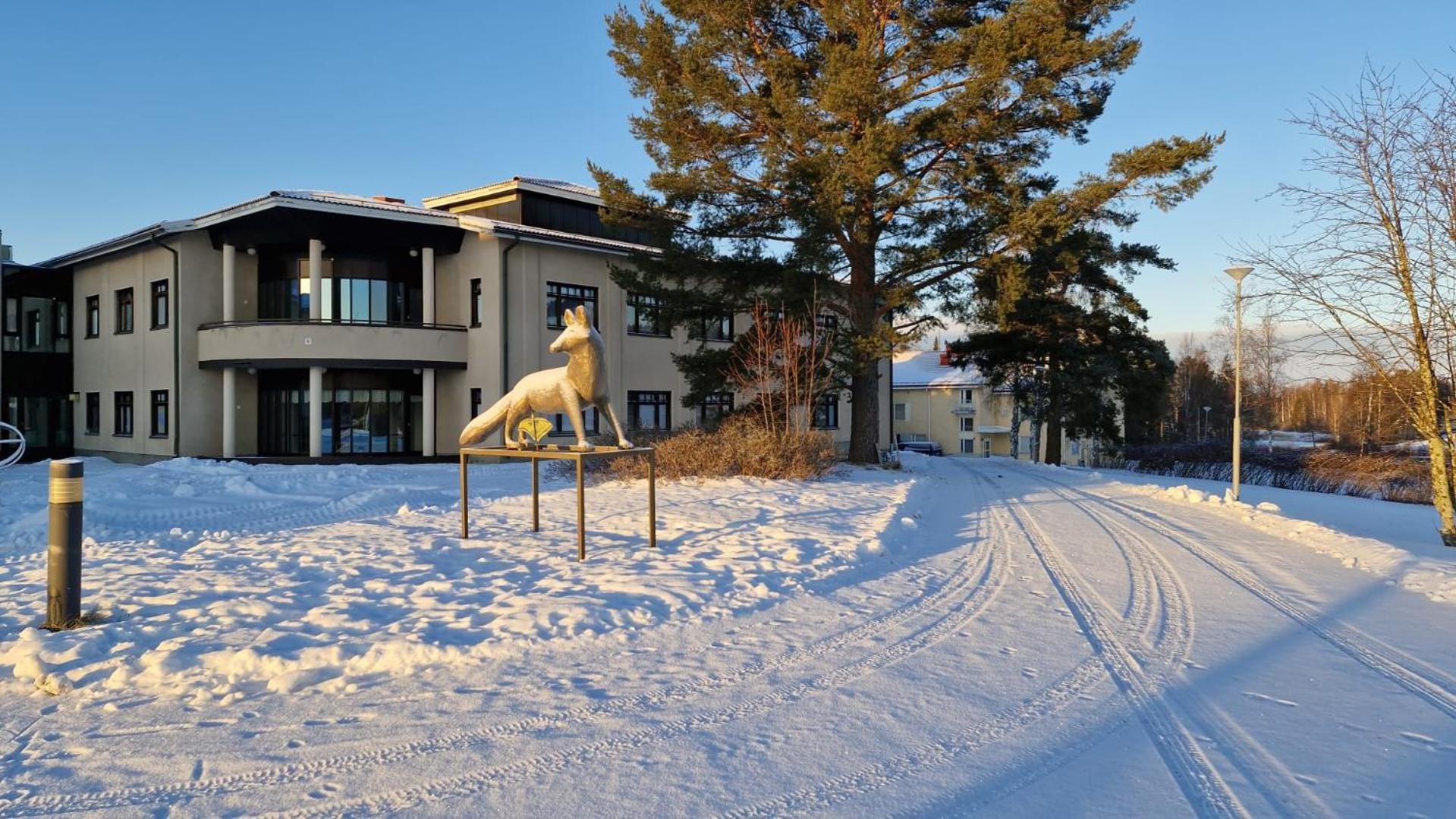 Hostel Majoitus Fox Kuopio Exterior foto